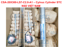csa-20x300-ls7-c2-0-a1-–-cylnuc-cylinder-stc-nsd-viet-nam.png